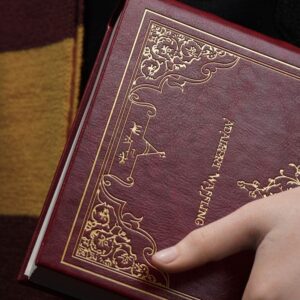 x qs harrypotter bust s