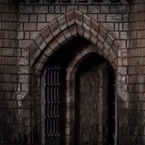 x qs harrypotter bust u