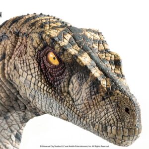 x tonajpeccwhitequeen h