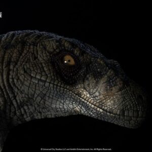 x tonajpeccwhitequeen l