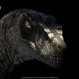 x tonajpeccwhitequeen n